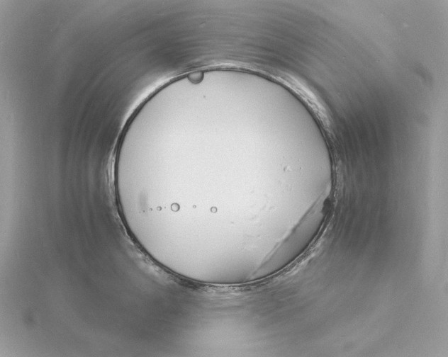 X0000115841198200912041702