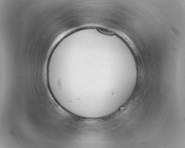 X0000115841199200912041702