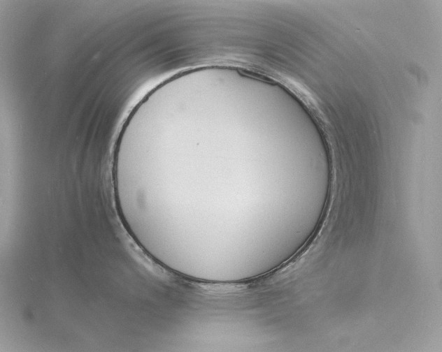 X0000115841200200912041702