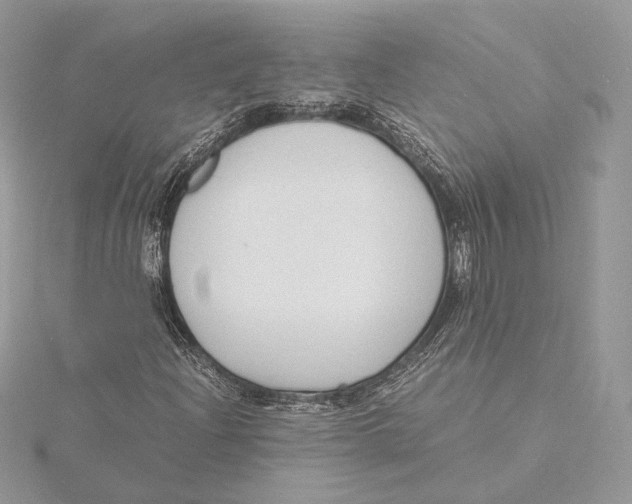 X0000115841204200912041701