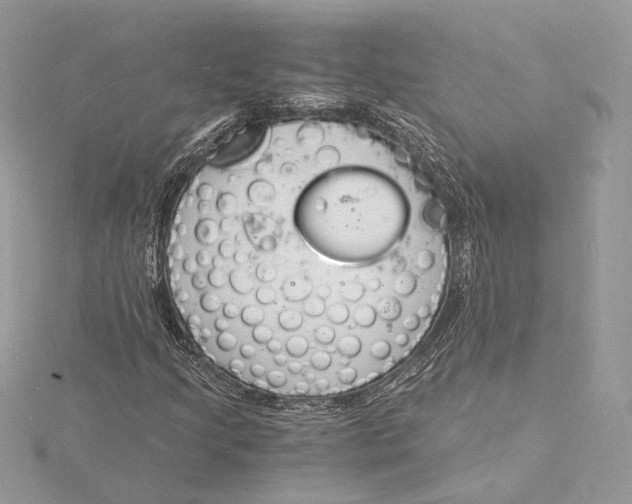 X0000115841205200912041701