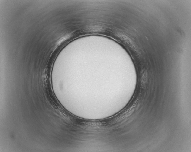 X0000115841210200912041701