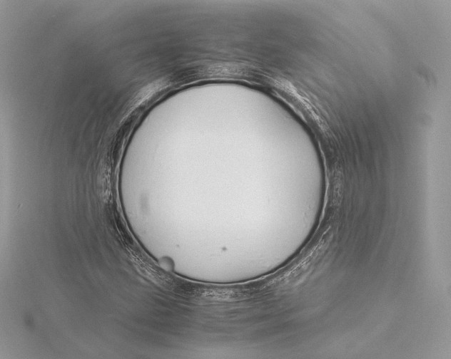 X0000115841211200912041701