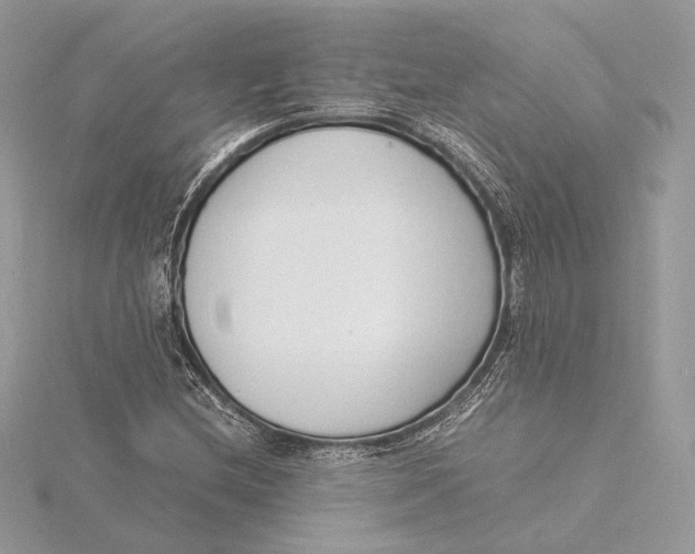 X0000115841212200912041701