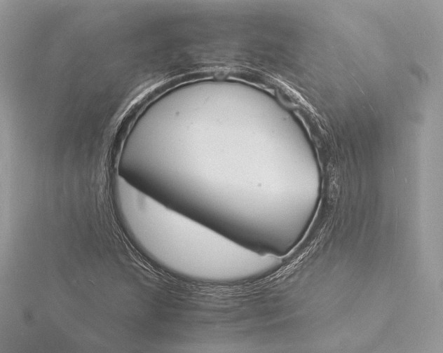 X0000115841215200912041701