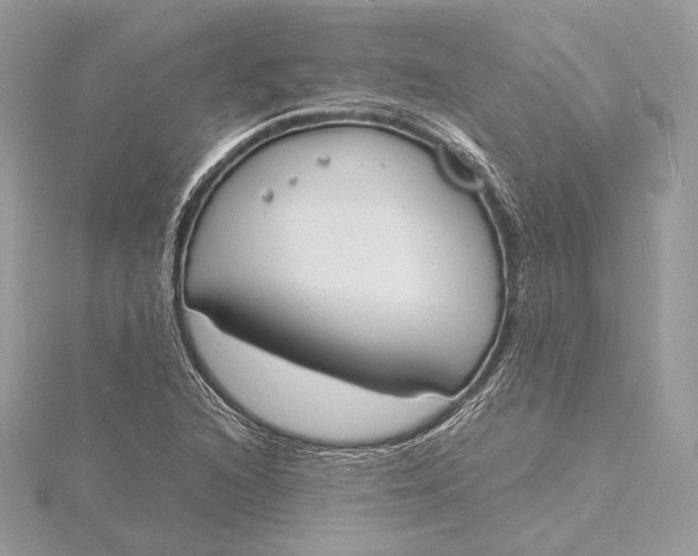 X0000115841216200912041701