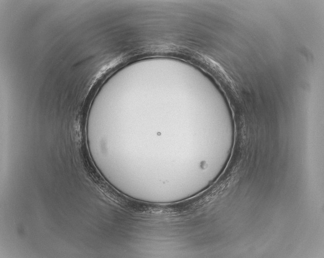 X0000115841218200912041701