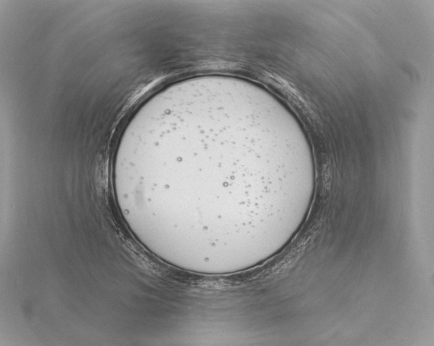 X0000115841220200912041701