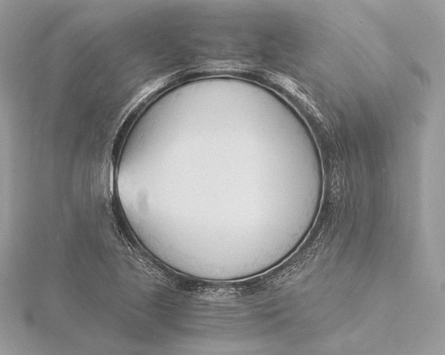 X0000115841221200912041701