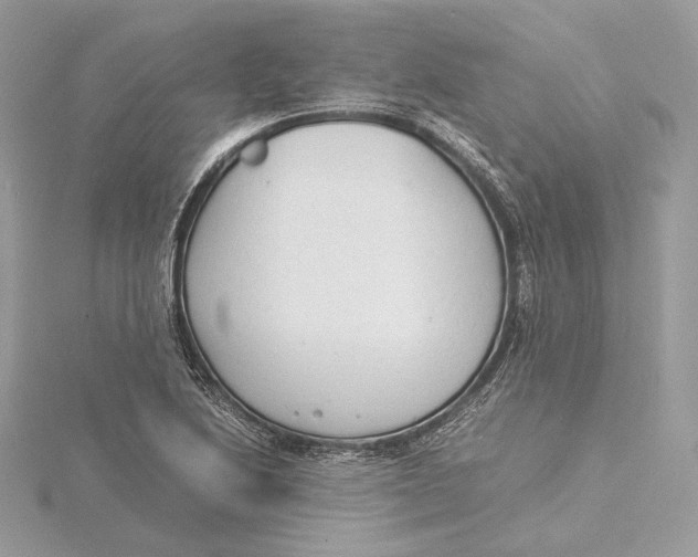 X0000115841222200912041701