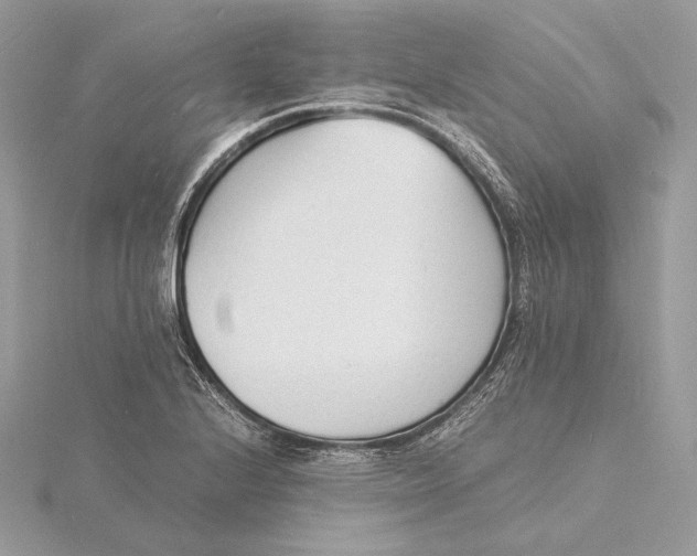 X0000115841224200912041701