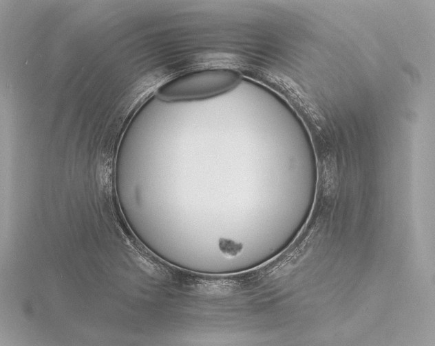 X0000115841225200912041701