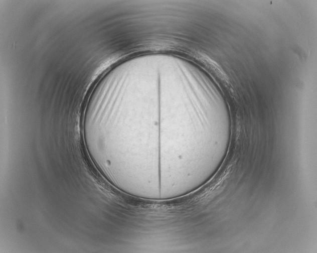 X0000115841226200912041701