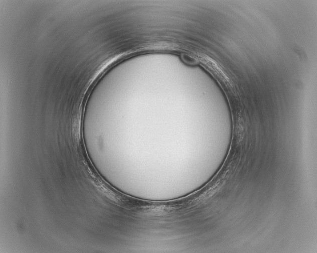 X0000115841228200912041701