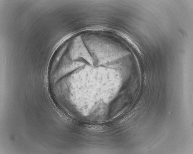 X0000115841229200912041701