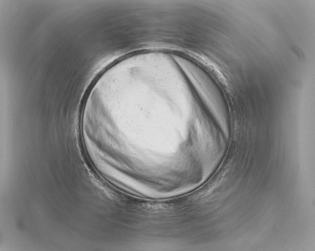 X0000115841231200912041701