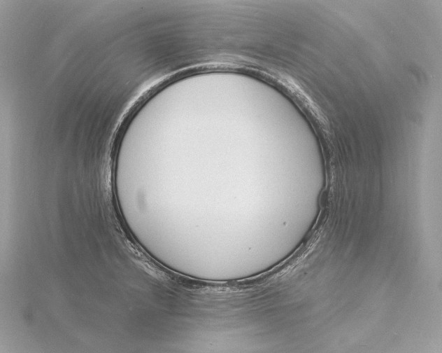 X0000115841232200912041701