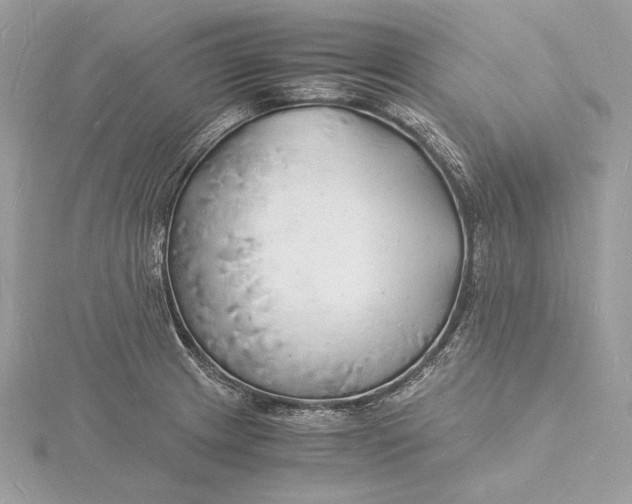 X0000115841233200912041701