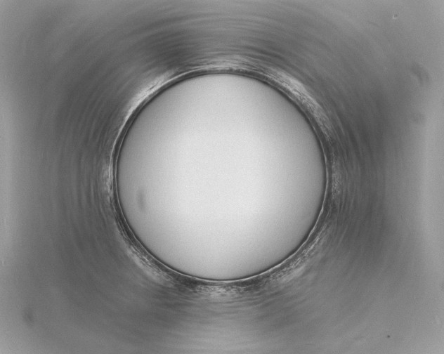 X0000115841234200912041701