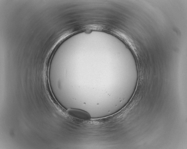 X0000115841235200912041702