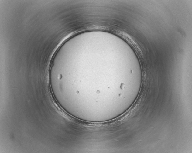 X0000115841236200912041702