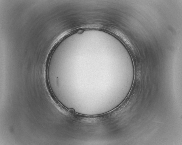 X0000115841237200912041702