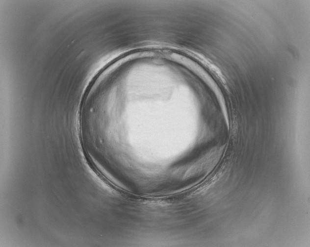 X0000115841239200912041702