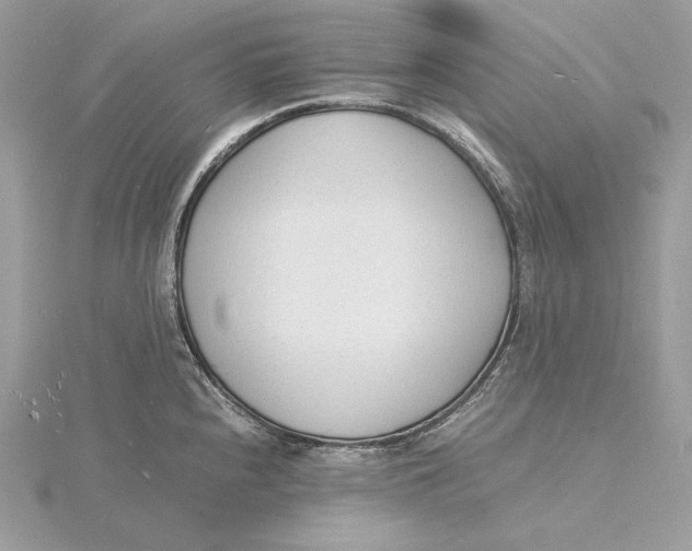 X0000115841240200912041702