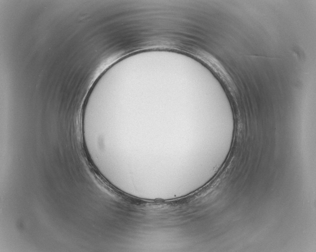 X0000115841242200912041702