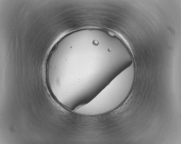 X0000115841243200912041702