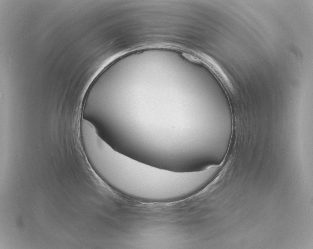 X0000115841244200912041702