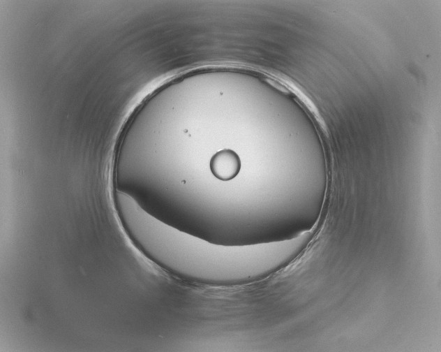 X0000115841245200912041702