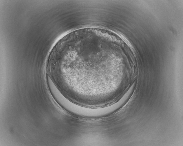 X0000115841246200912041702