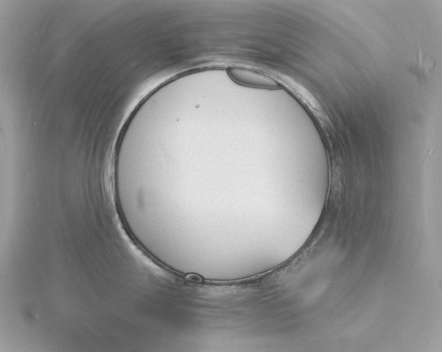 X0000115841247200912041702