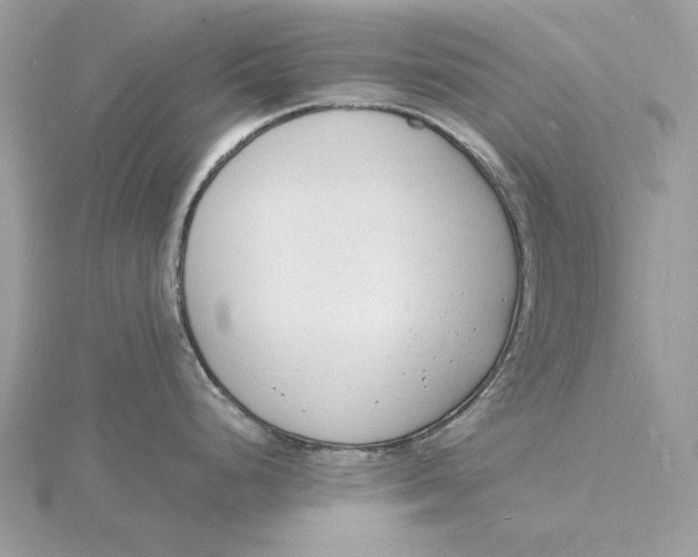 X0000115841248200912041702