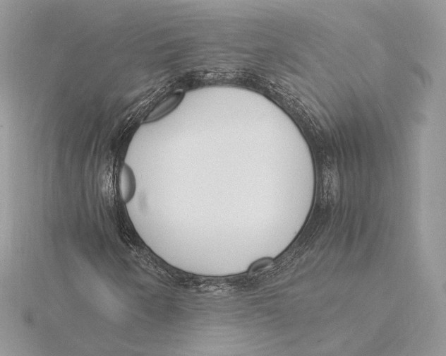 X0000115841250200912041701