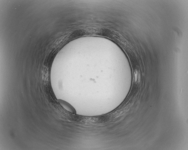 X0000115841251200912041701