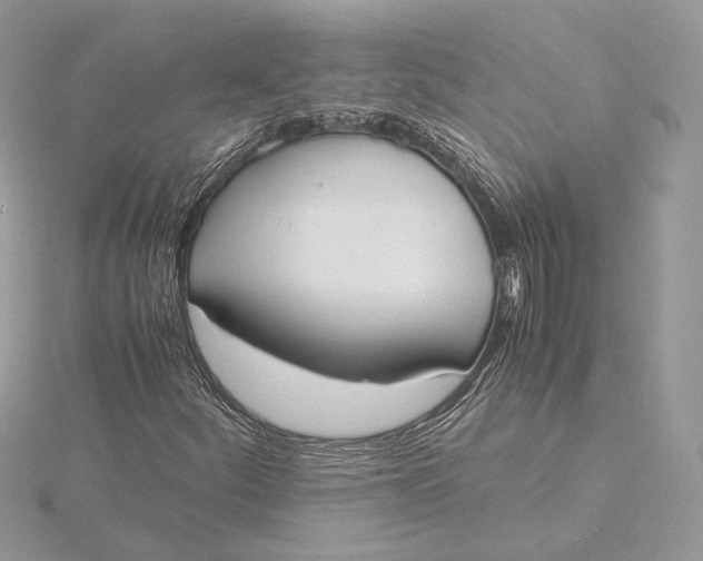 X0000115841252200912041701