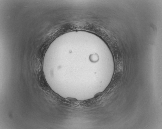 X0000115841253200912041701