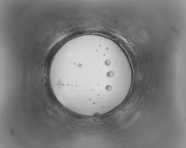 X0000115841255200912041701