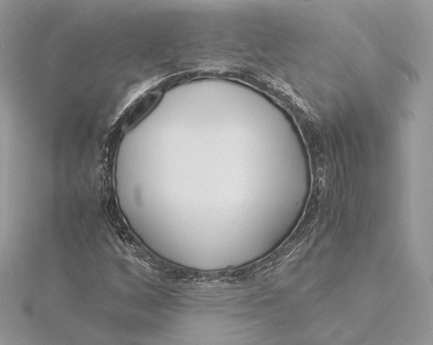 X0000115841256200912041701