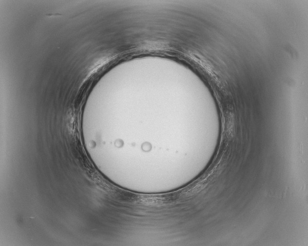 X0000115841258200912041701