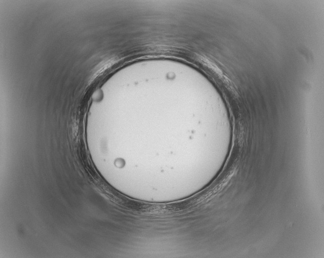 X0000115841259200912041701