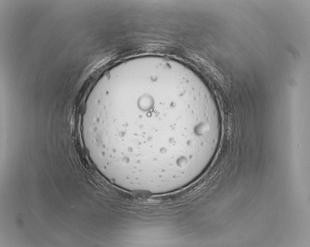 X0000115841261200912041701