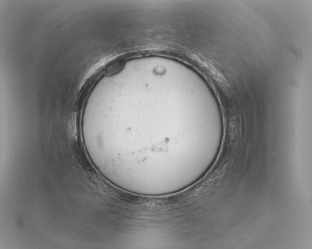 X0000115841262200912041701