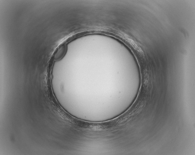 X0000115841264200912041701