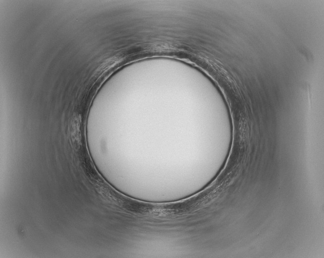 X0000115841265200912041701