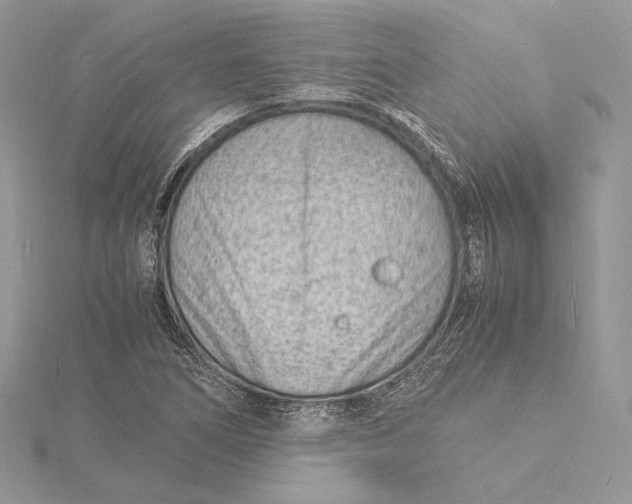 X0000115841266200912041701