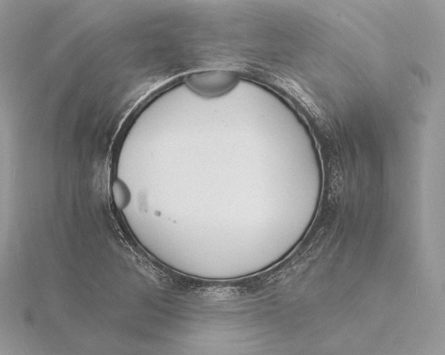 X0000115841268200912041701