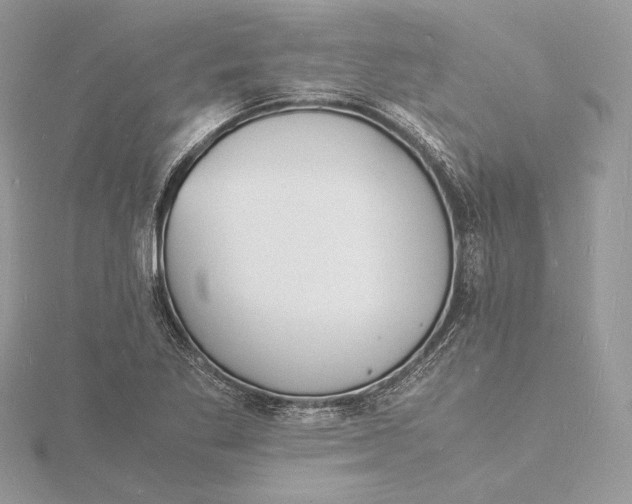 X0000115841269200912041701